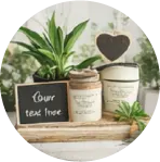 أصص وإكسسوارات